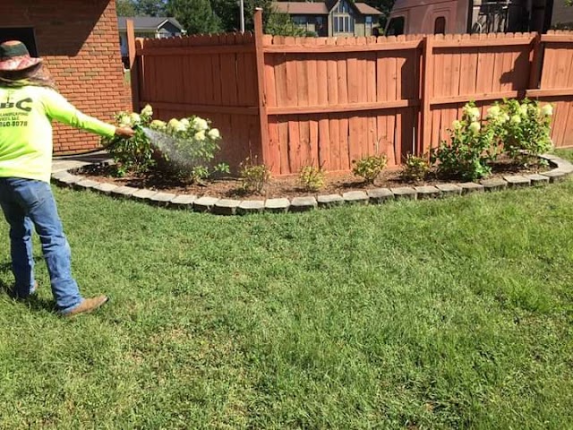 ABC Tree & Landscaping Services photo 1