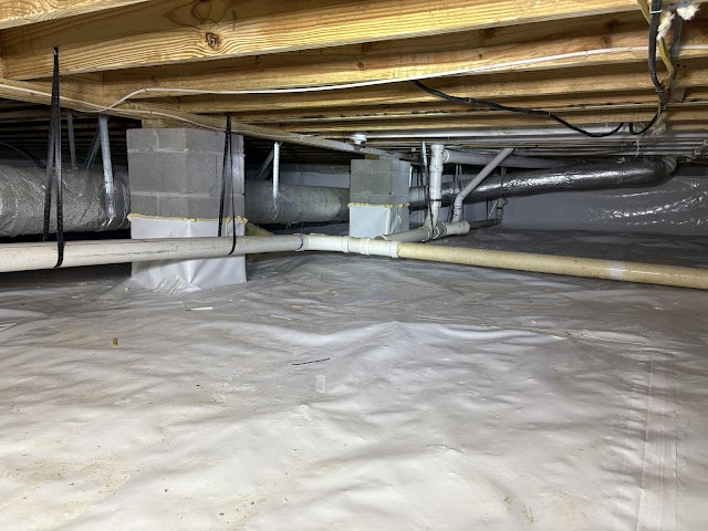 Alabama Mold And Water, LLC photo 1
