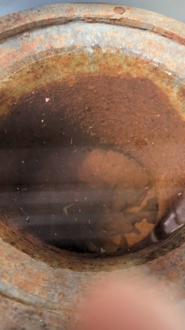 Birmingham Pest & Mosquito Control photo 3