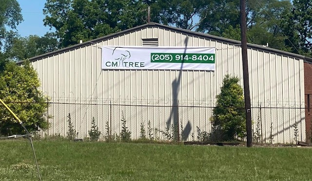 CM Tree photo 2