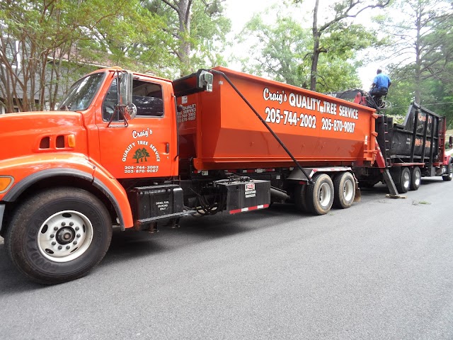 Craig's Quality Tree Service Birmingham photo 1