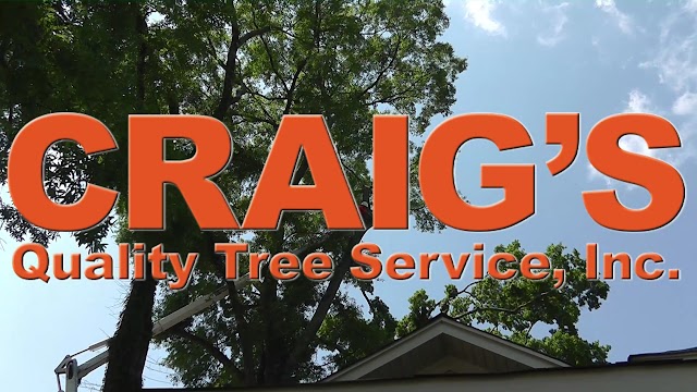 Craig's Quality Tree Service Birmingham photo 4