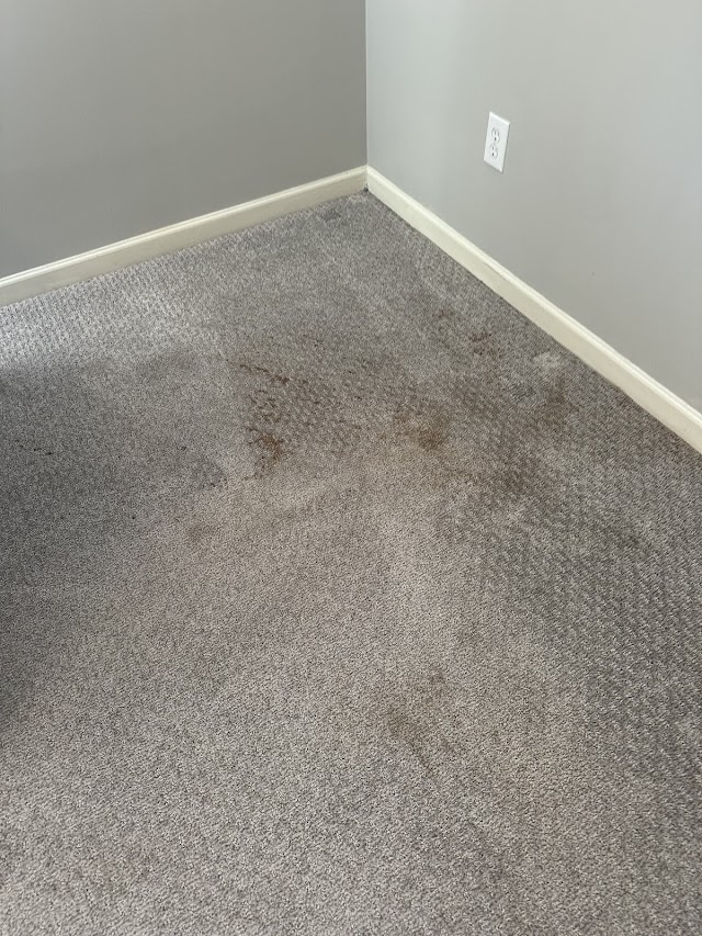 Dad's Carpet & Upholstery Cleaning photo 2