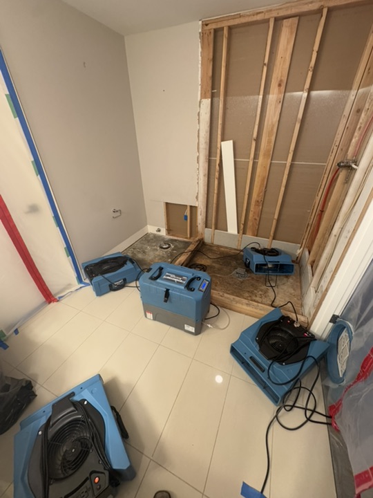 DryStream Restoration photo 4