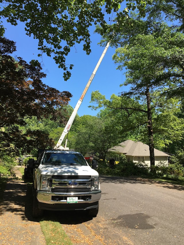 Easy Tree Service photo 2