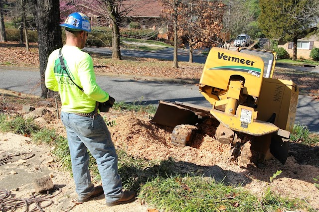 Easy Tree Service photo 3
