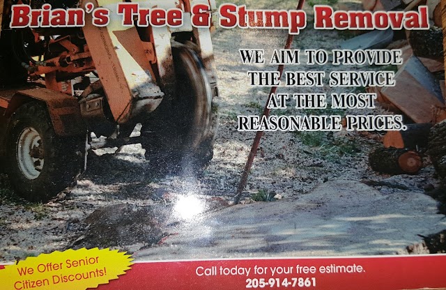 Easy Tree Service photo 4