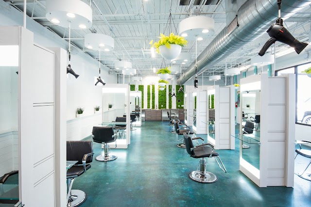 Forecast Salon photo 1