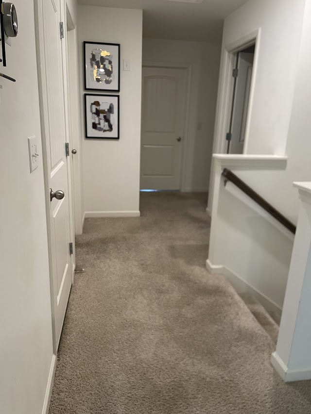 Heaven's Best Carpet & Rug Cleaners photo 2