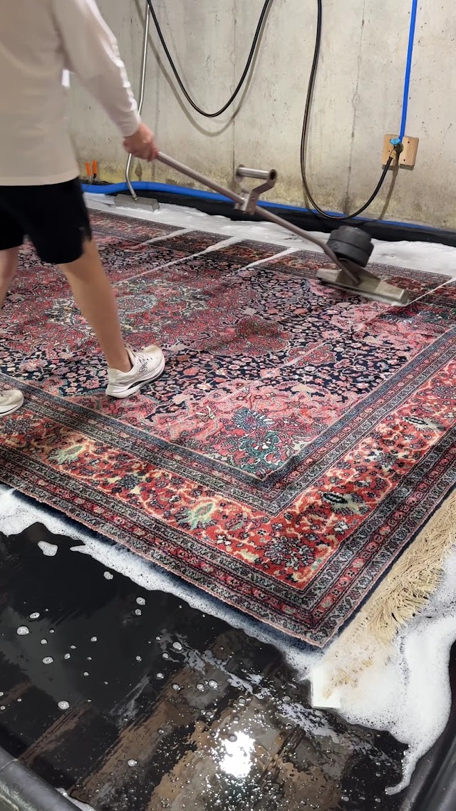 Heaven's Best Carpet & Rug Cleaners photo 3