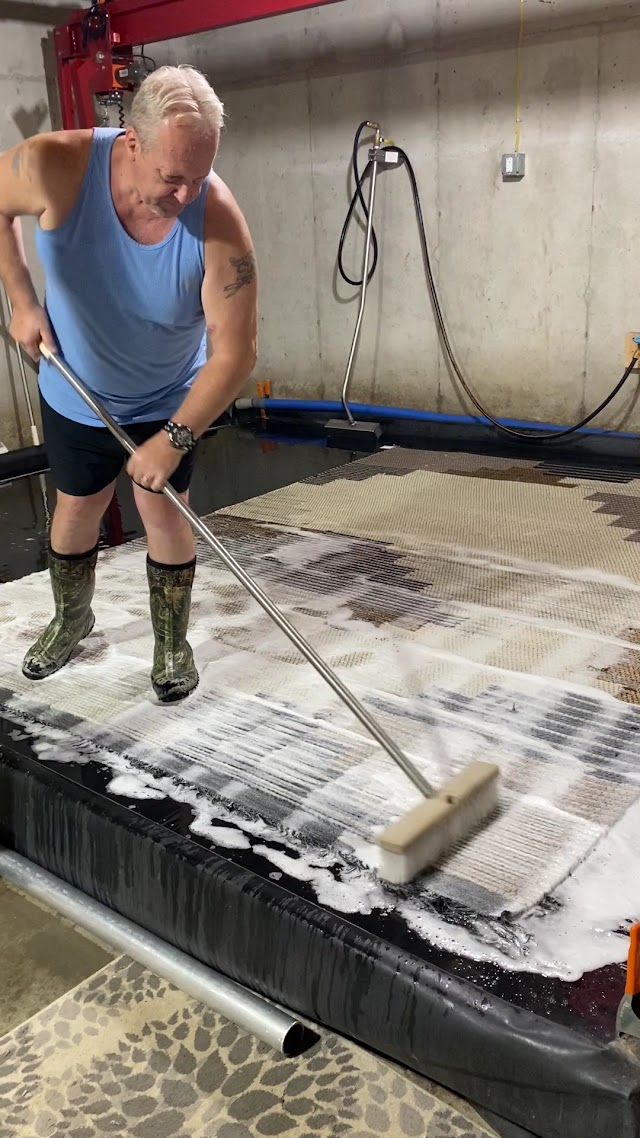 Heaven's Best Carpet & Rug Cleaners photo 4