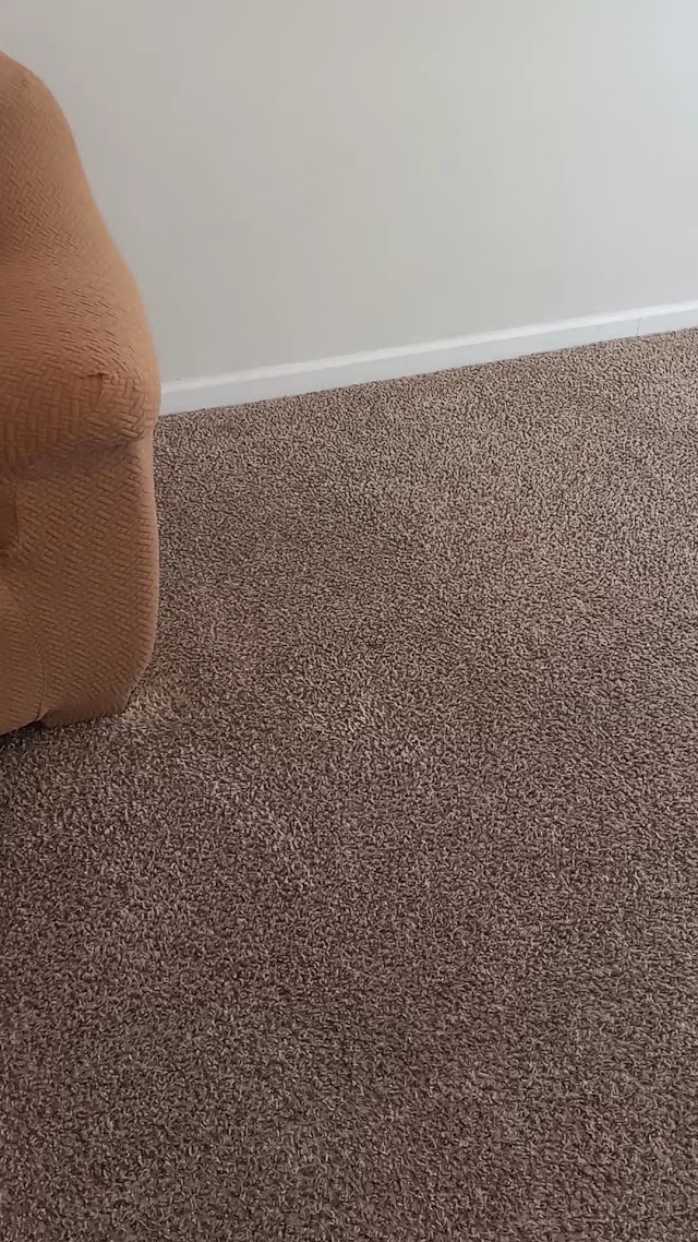 LocalPro Carpet Cleaning of Birmingham photo 3