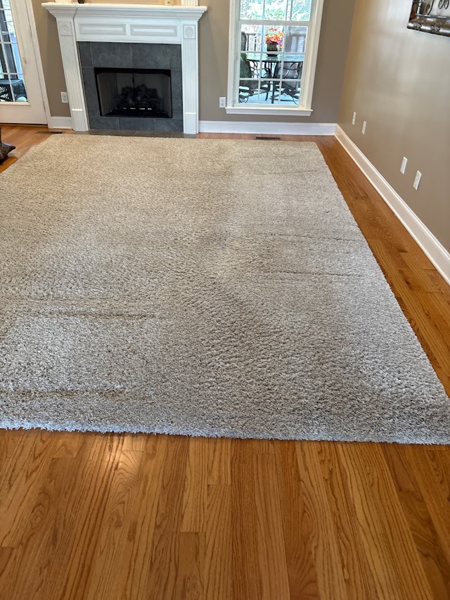 LocalPro Carpet Cleaning of Birmingham photo 4