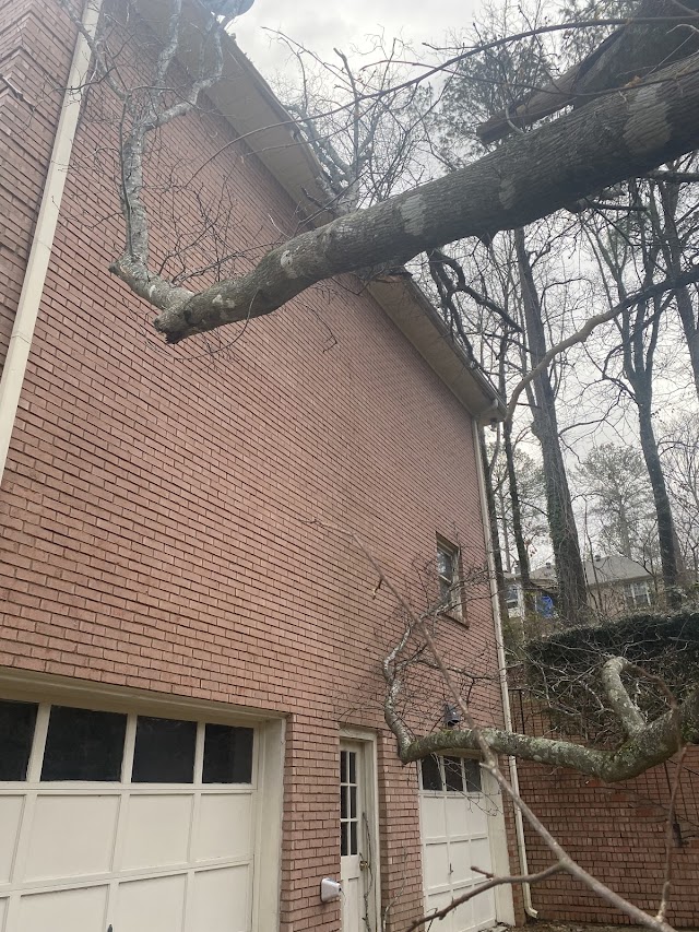Log and Leaf Tree Service photo 2
