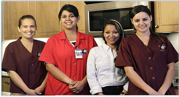MAIDS IN AMERICA photo 1