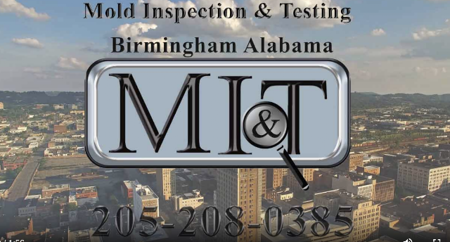 Mold Inspection & Testing Birmingham AL photo 1