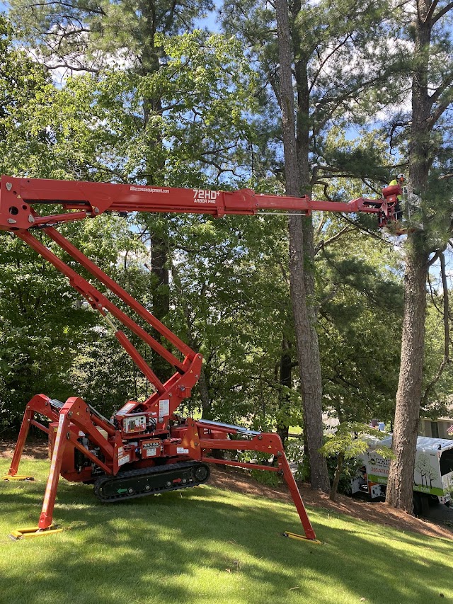 Monster Tree Service of Birmingham photo 1