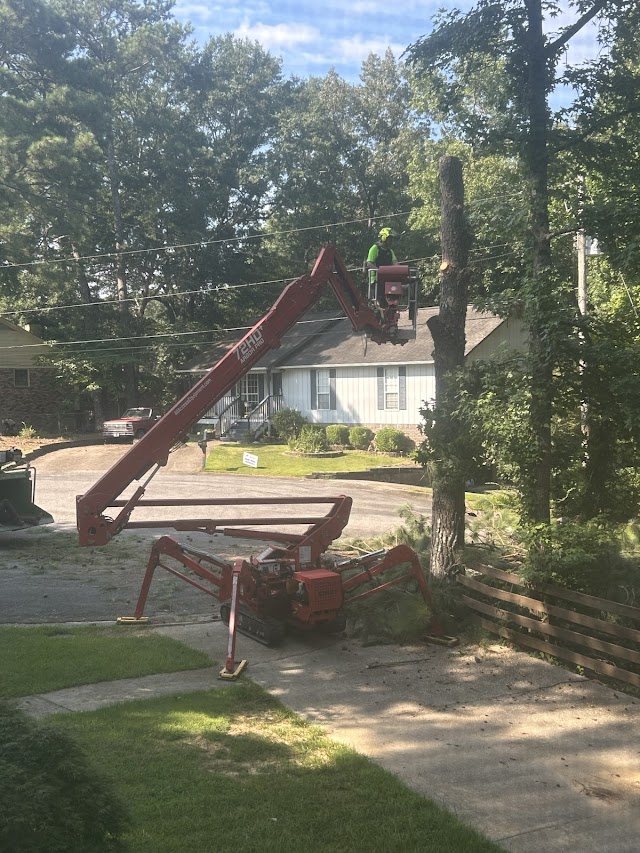 Monster Tree Service of Birmingham photo 3