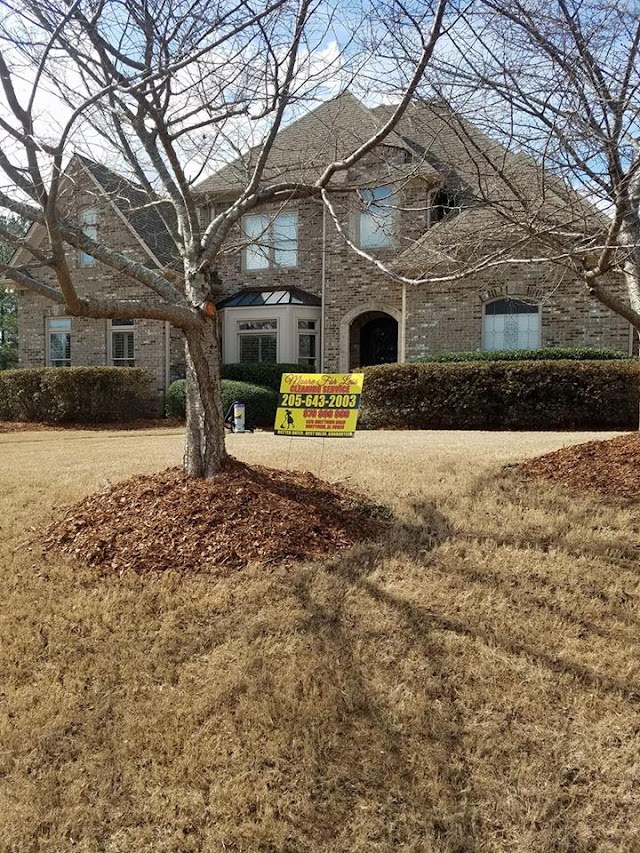 Moore For Less Cleaning Services LLC photo 2