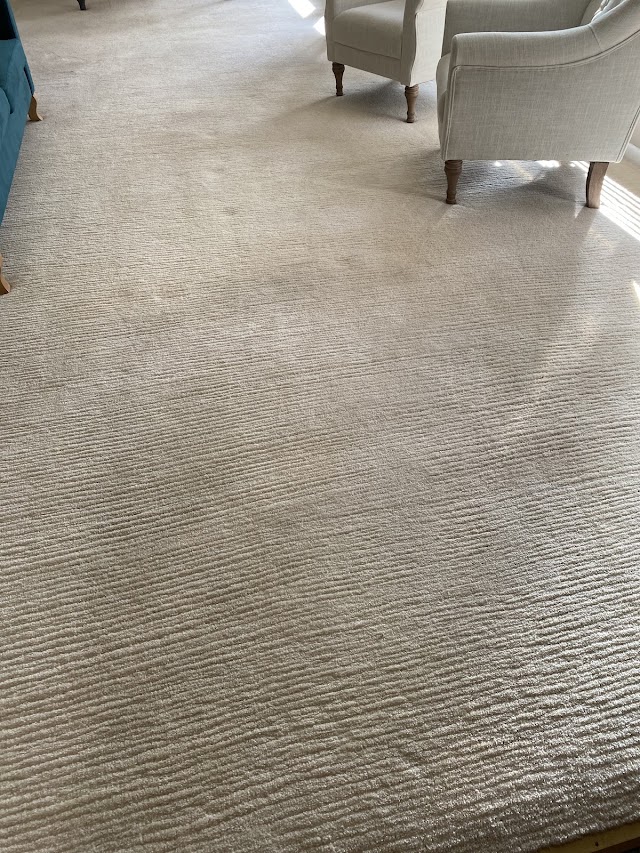 Mountainview Chem-Dry Carpet Cleaning photo 1