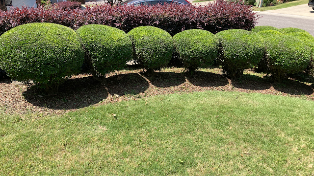 Newton Lawn Services photo 1