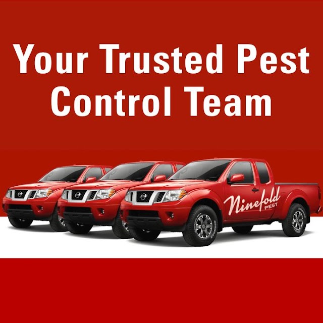 Ninefold Pest photo 2