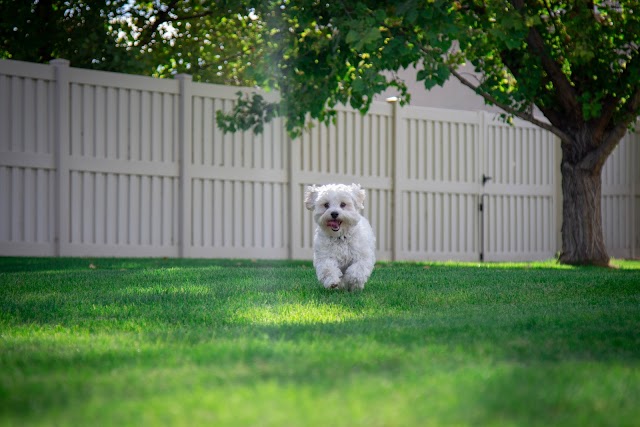 OneGuard Fencing photo 1