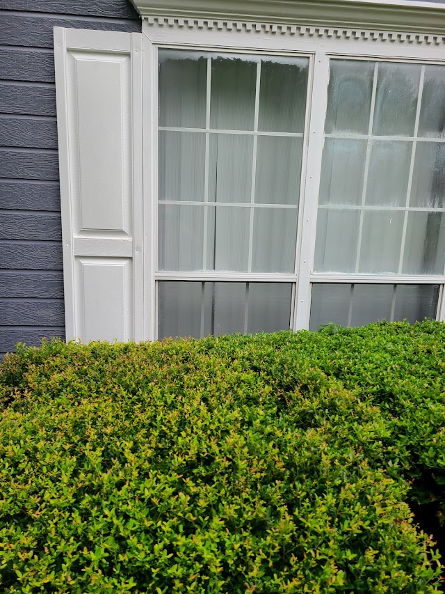 Optimum window cleaning and pressure washing photo 3