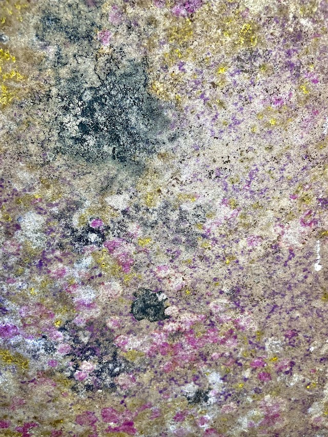 Pure Air of Alabama photo 2