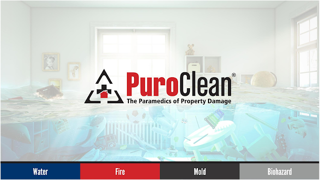 PuroClean of Homewood photo 1