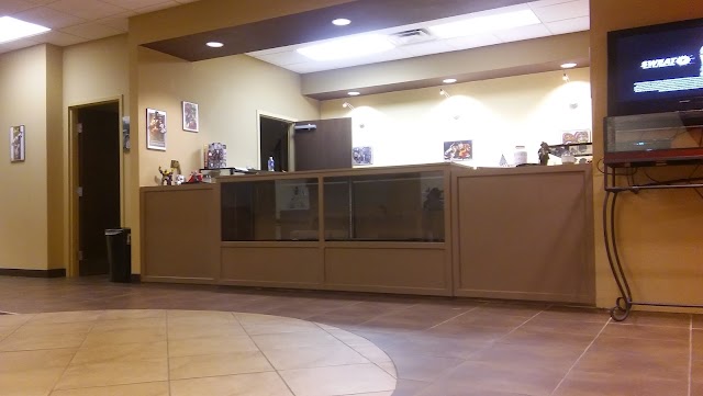 Stay Gold Tattoo Studio photo 4
