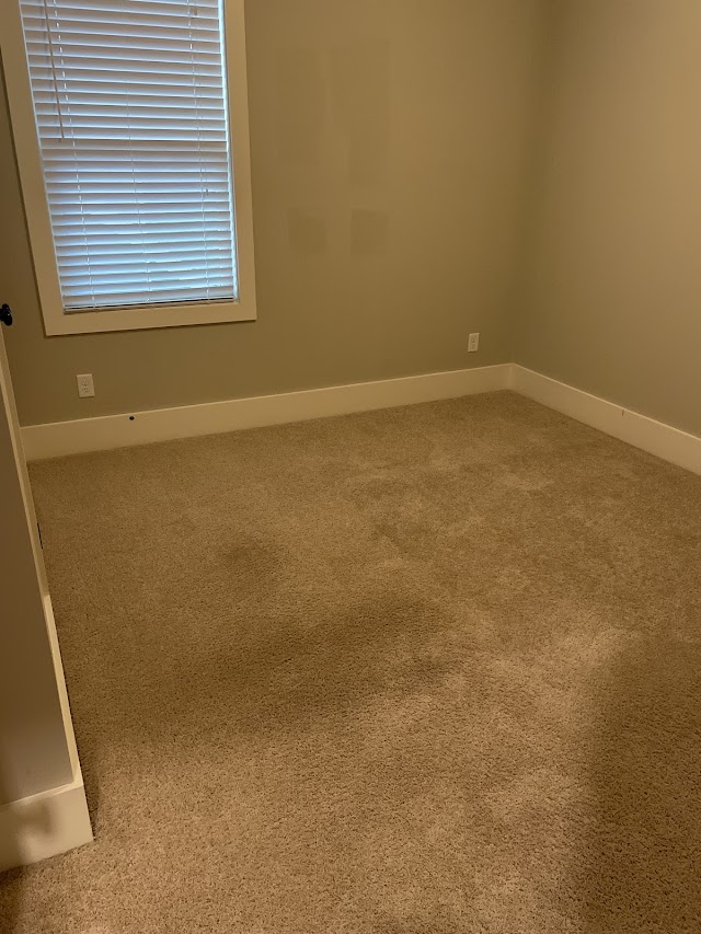 Steampro Carpet & Upholstery Cleaning LLC photo 3