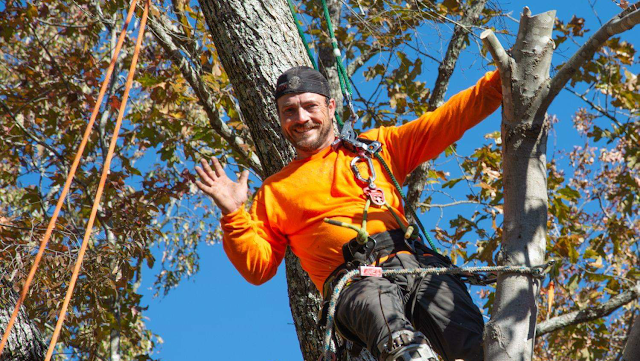 The Arborist photo 1