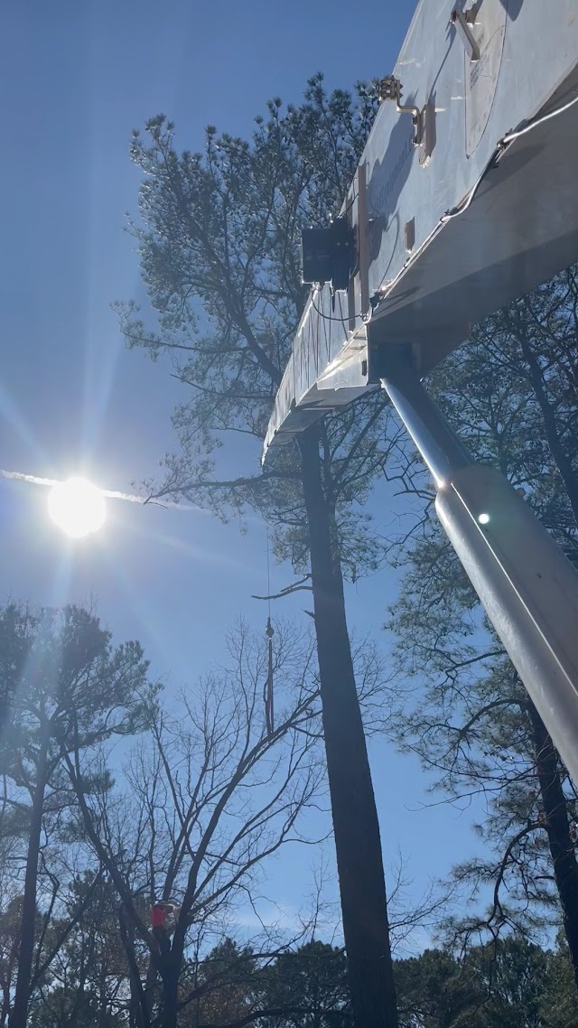 The Arborist photo 4