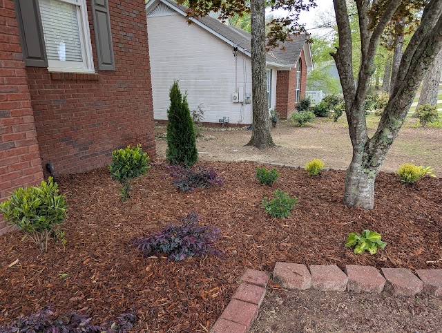 The Southern Landscape Firm photo 1
