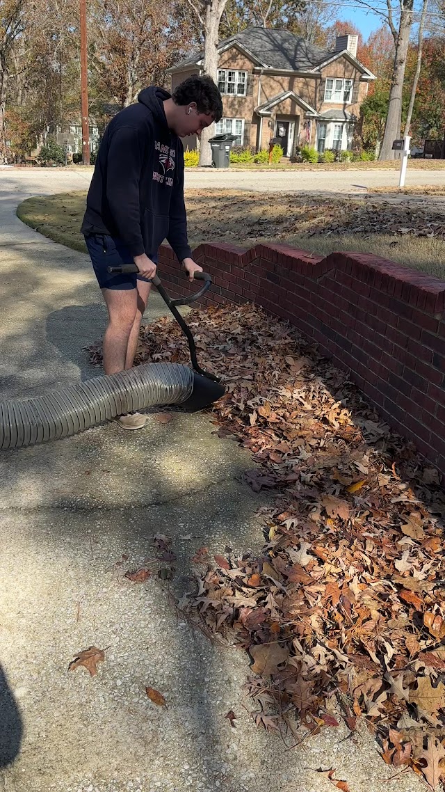 TrueSouth Lawn & Wash, LLC photo 3