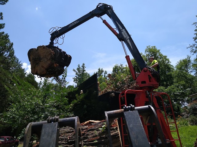 Young's Tree and Stump, Inc. photo 1