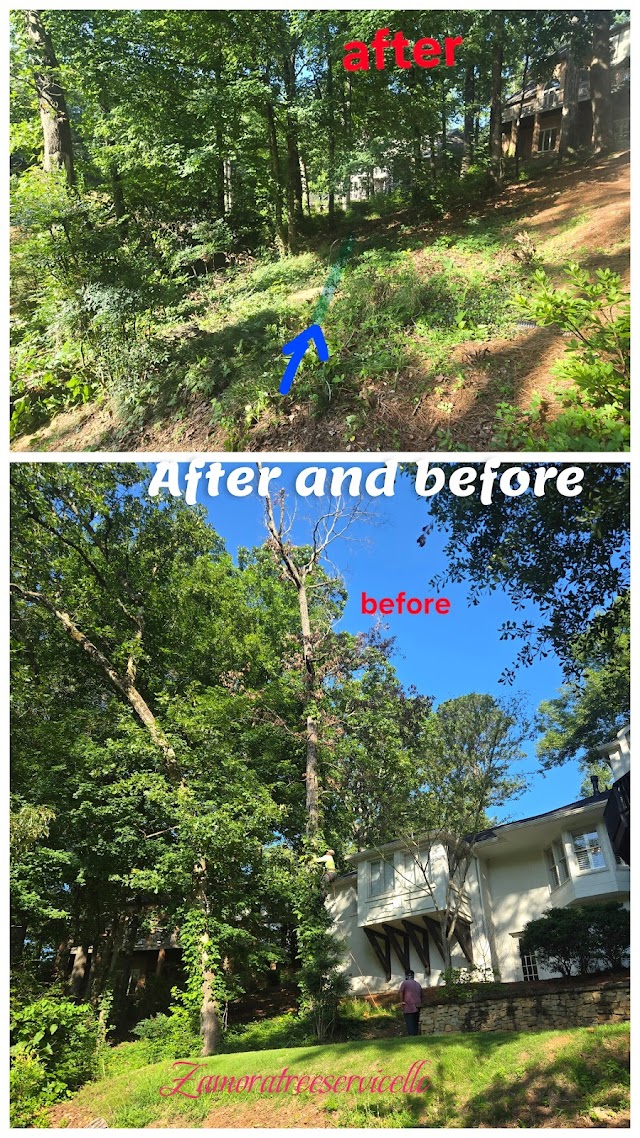 Zamora Tree Service LLC photo 1