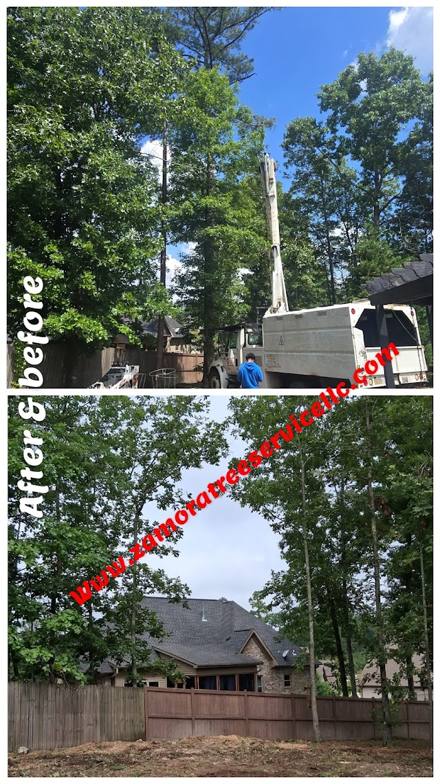 Zamora Tree Service LLC photo 2